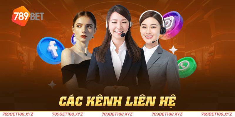 Liên Hệ 2 Liên hệ
