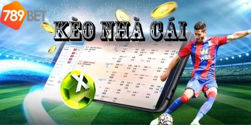 Tổng Hợp Tỷ Lệ Kèo Nhà Cái Bóng Đá Cực Hot Tại 789bet 4 Khám phá các loại kèo phổ của tỷ lệ kèo nhà cai