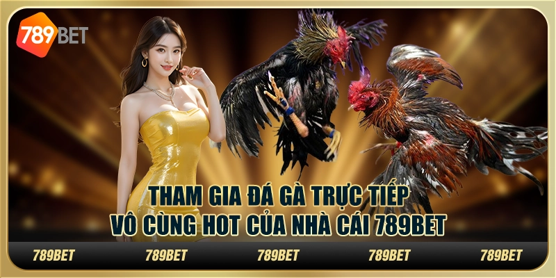 Tham Gia Đá Gà Trực Tiếp Vô Cùng Hot Của Nhà Cái 789bet