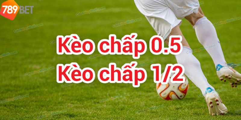 Tìm Hiểu Khái Niệm Và Cách Hoạt Động Của Kèo Chấp Nửa Trái 3 Hướng dẫn tính kèo chấp nửa trái trong cá cược