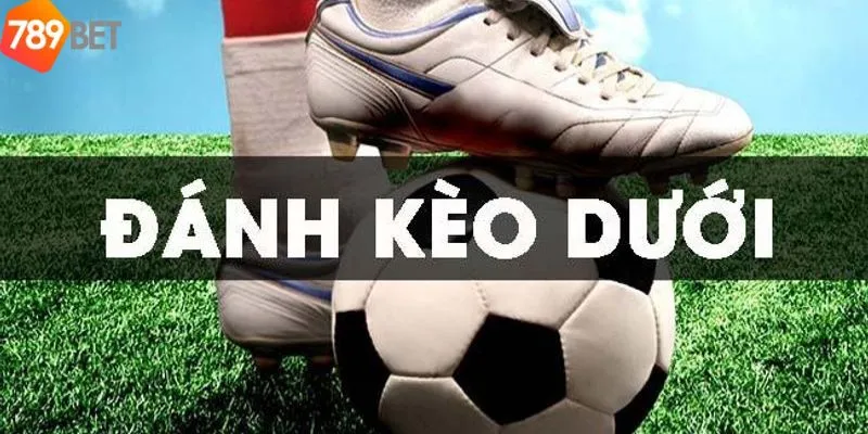 Kèo Dưới Là Gì - Mẹo Cược Kèo Dưới Khi Chơi Tại 789bet 2 Khái niệm đánh kèo dưới là gì?