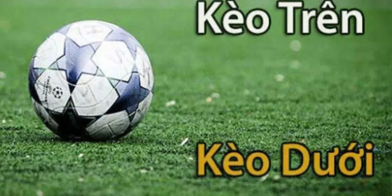 Kèo Trên Là Gì - Kinh Nghiệm Cược Kèo Trên Tại 789bet 3 Các nhân tố ảnh hưởng đến kèo trên là gì