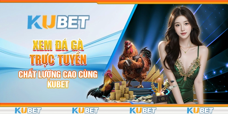 Xem đá gà