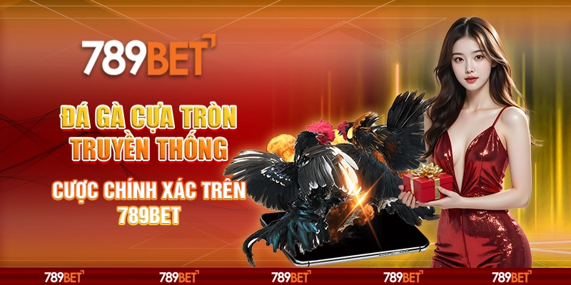 đá gà cựa tròn truyền thống