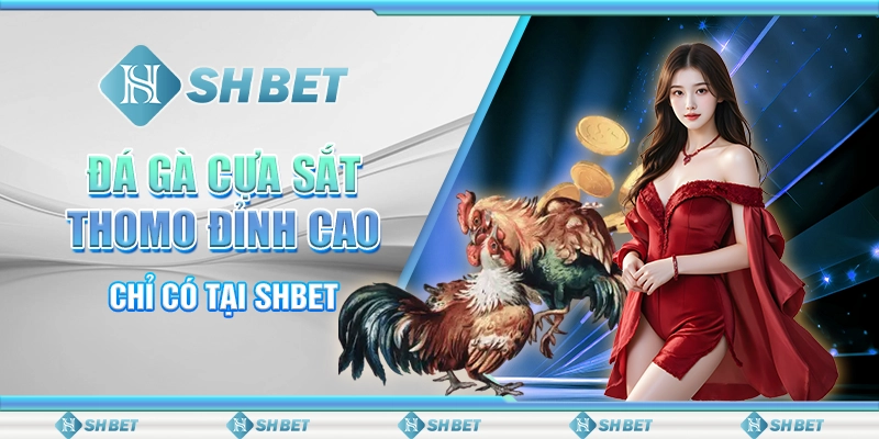 10 da ga cua sat thomo dinh cao chi co tai shbet