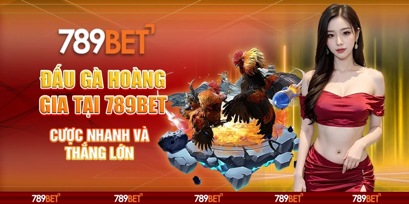 2-dau-ga-hoang-gia-tai-789bet-cuoc-nhanh-va-thang-lon
