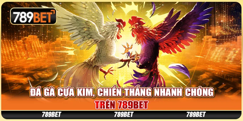 Đá Gà Cựa Kim, Chiến Thắng Nhanh Chóng Trên 789bet