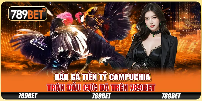 Đấu Gà Tiền Tỷ Campuchia - Trận Đấu Cực Đã Trên 789bet