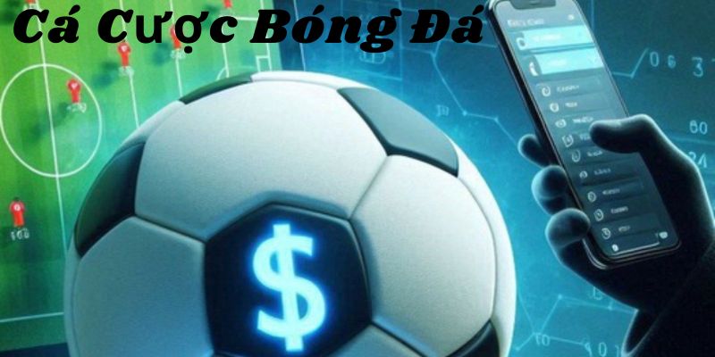 Cá Cược Bóng Đá Online Uy Tín – Cập Nhật Chính Xác Mỗi Ngày 4 Nền tảng uy tín được nhiều người chơi biết đến