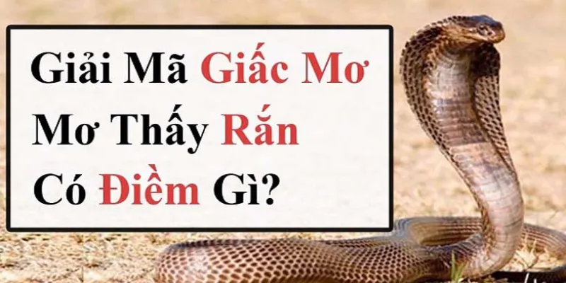 Giải Mã Nằm Mơ Thấy Rắn - Điềm Báo Và Con Số May Mắn 2 Lý giải nằm mơ thấy rắn là điềm tốt hay xấu